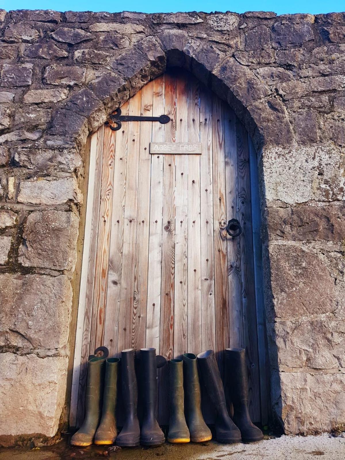 Abbey Farm Luxury Glamping Hotell Rhuddlan Exteriör bild
